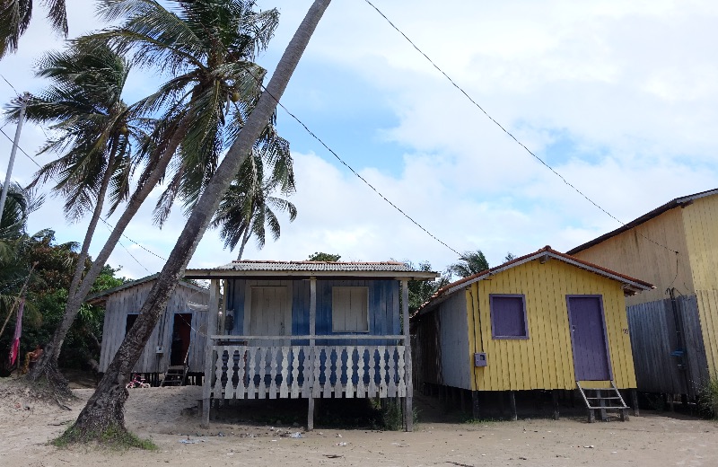 Caboclos da Amazônia