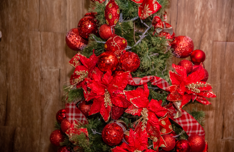 Monte sua árvore de Natal com Fátima Petrola