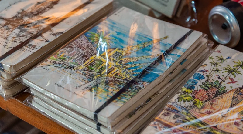 Toda a potencialidade do Papel da Amazônia