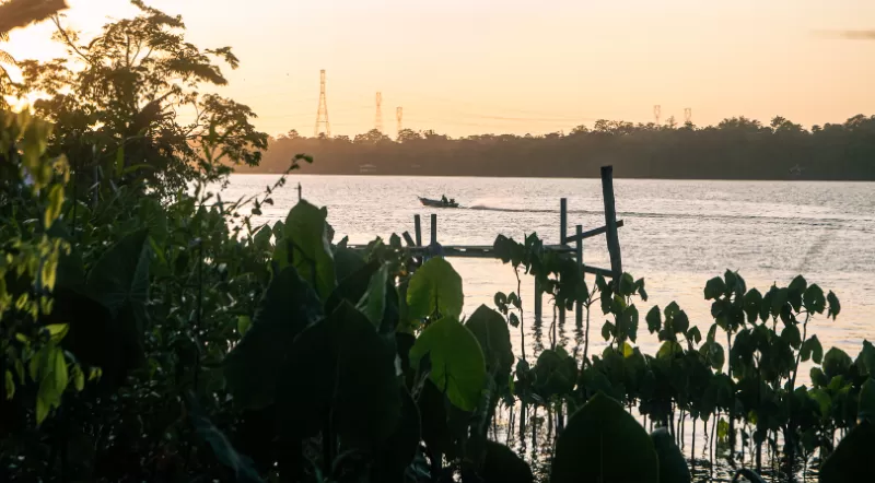 Entre Águas e Saberes