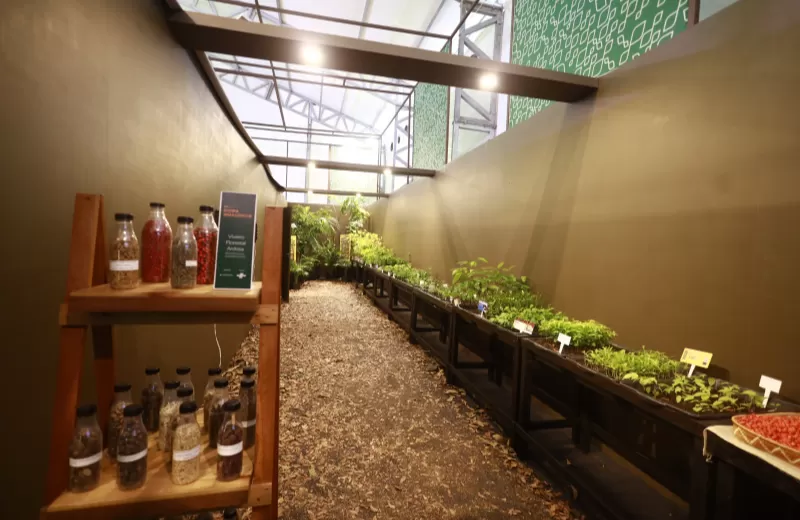 Sebrae leva experiência imersiva da floresta amazônica à AgriZone