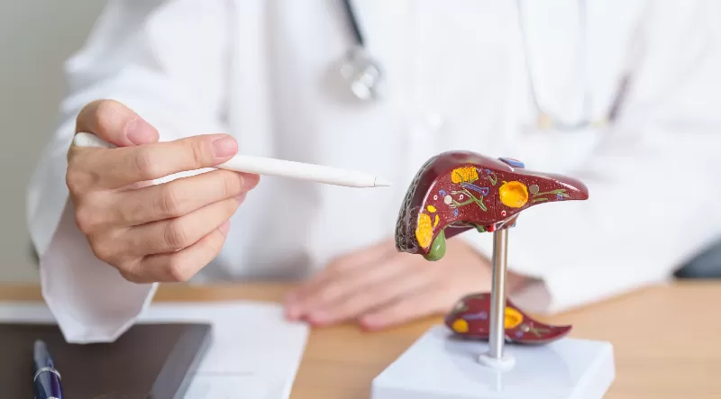 Gordura no fígado: entenda os riscos e como prevenir a doença