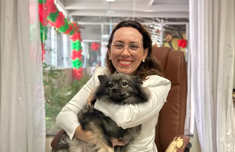 Ceia de Natal: o que seus pets podem (ou não) comer durante as celebrações de fim de ano