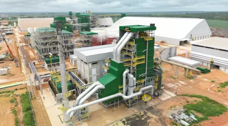 Empresa paraense ganha destaque na Forbes  com  avanço na industrialização de soja