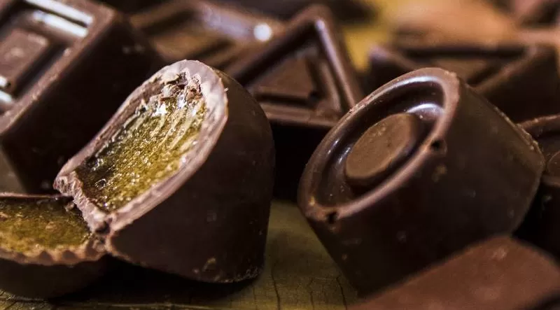 Chocolate produzido no Pará valoriza sabor original do cacau nativo da Amazônia