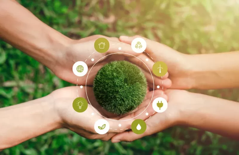 Bioeconomia no Pará: plataforma vai ampliar acesso a dados estratégicos