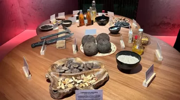 Exposição Aysú continua em cartaz em Belém e convida o público a vivenciar a Amazônia