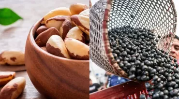 Produtos amazônicos conquistam espaço no mercado internacional