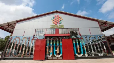 Ao ar livre, Museu das Amazônias inicia visitas mediadas no Porto Futuro